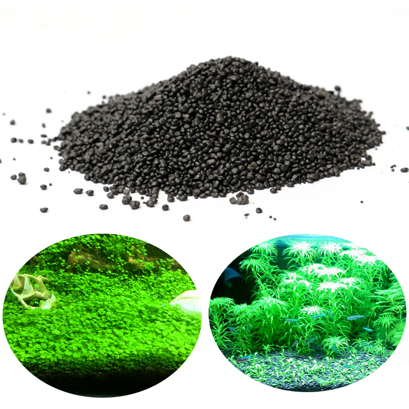 Aquarium Plant Nutrients - Aquarium Water Gras Modder Plant Zaad