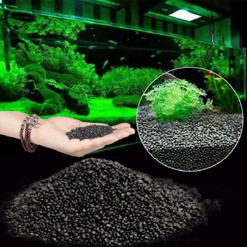 Aquarium Plant Nutrients - Aquarium Water Gras Modder Plant Zaad