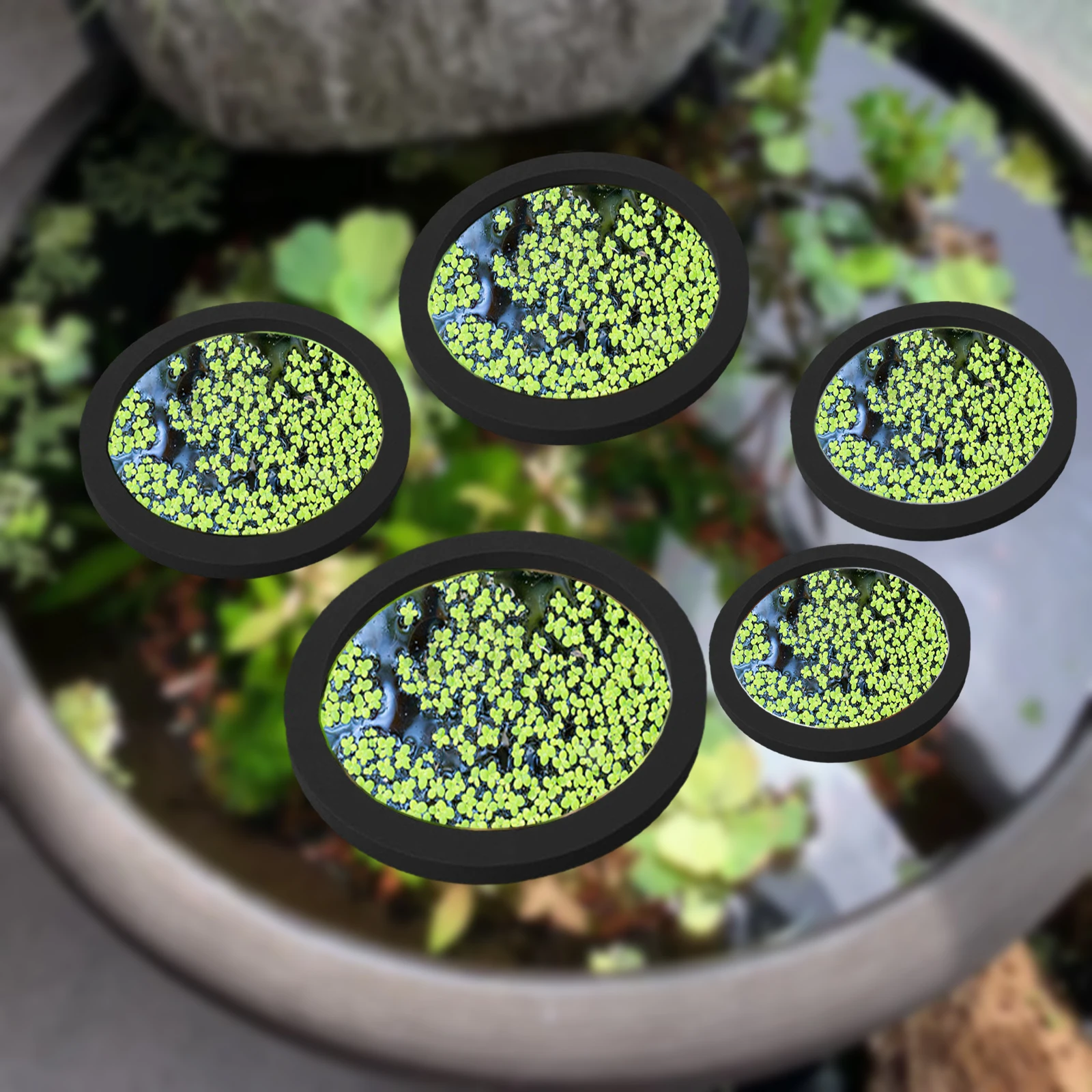 Aquarium Plants - 5 stks EVA Vis Voeden Ring