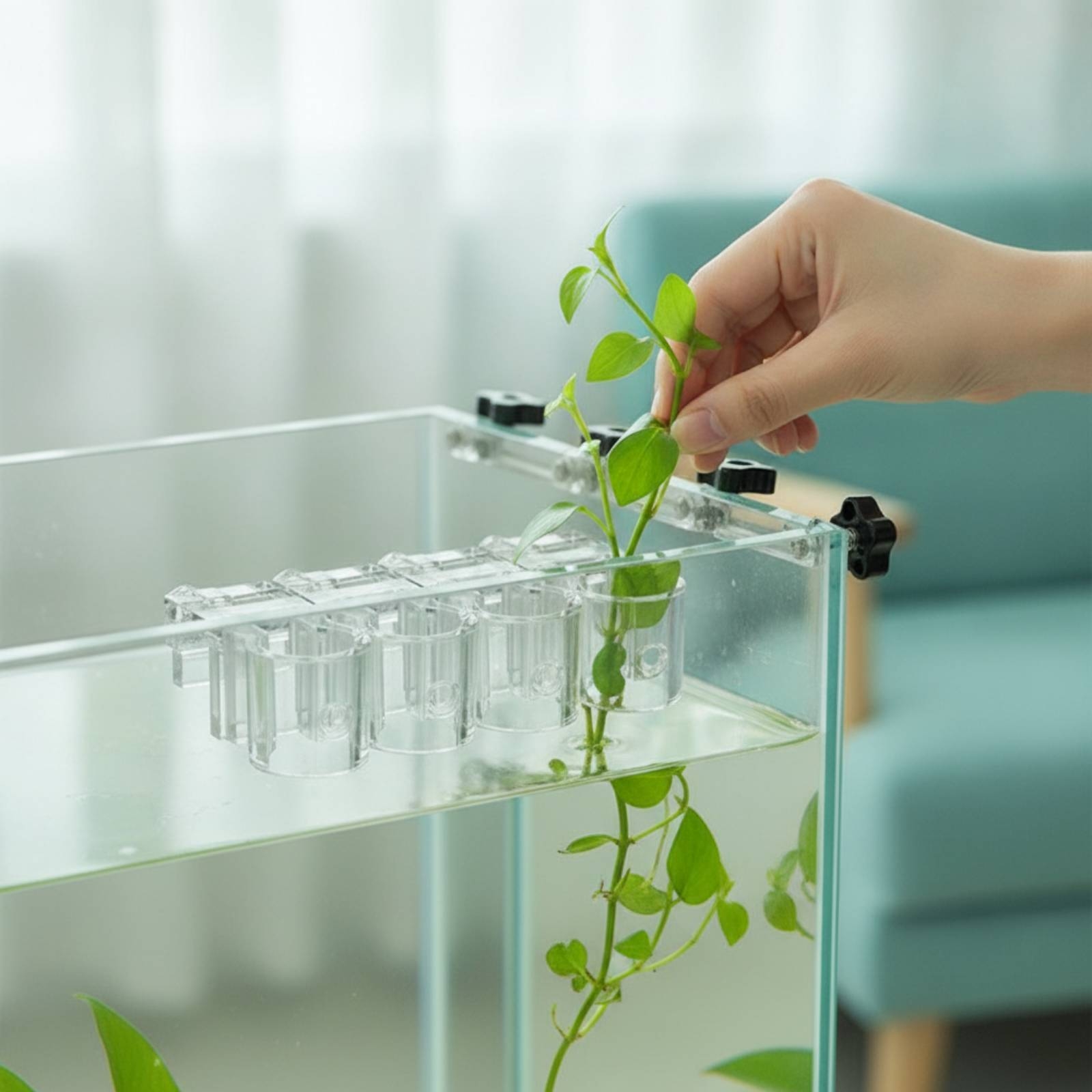 6 stuks Aquarium Planter Clear - Aquarium Plants recensie en prijs
