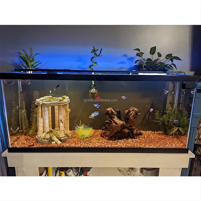 24/7 cyclus waterdichte automa - Planted Aquarium Cycling recensie en prijs