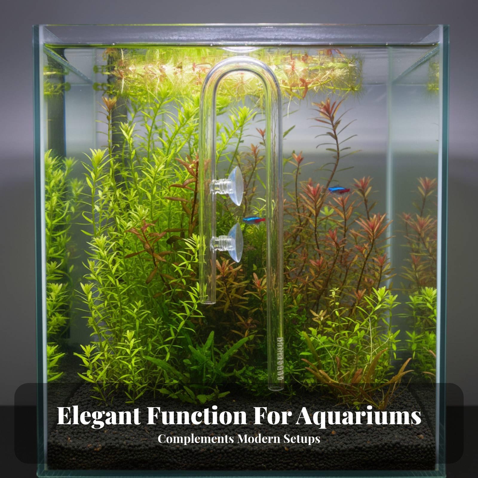Elegant Aquatic Inflow Glass L - Aquarium Plant Nutrients recensie en prijs