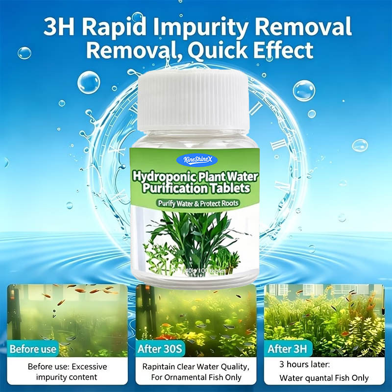 Hydroponische waterzuiveringst - Aquarium Plant In Pot recensie en prijs