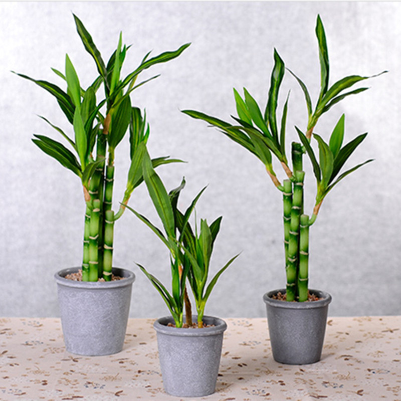 Nieuwe 40cm kunstmatige geluks - Aquarium Plant In Pot recensie en prijs