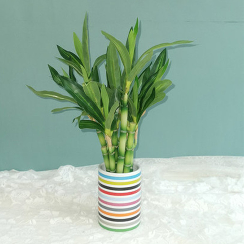 Nieuwe 40cm kunstmatige geluks - Aquarium Plant In Pot recensie en prijs