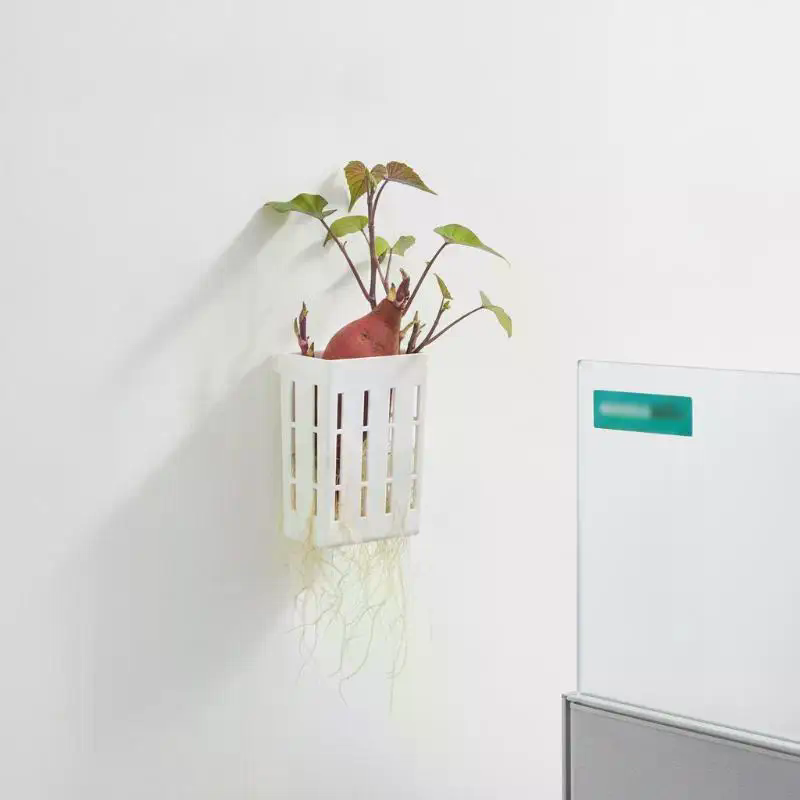 1 Stuks Hydroponische Onderste - Aquarium Plants recensie en prijs