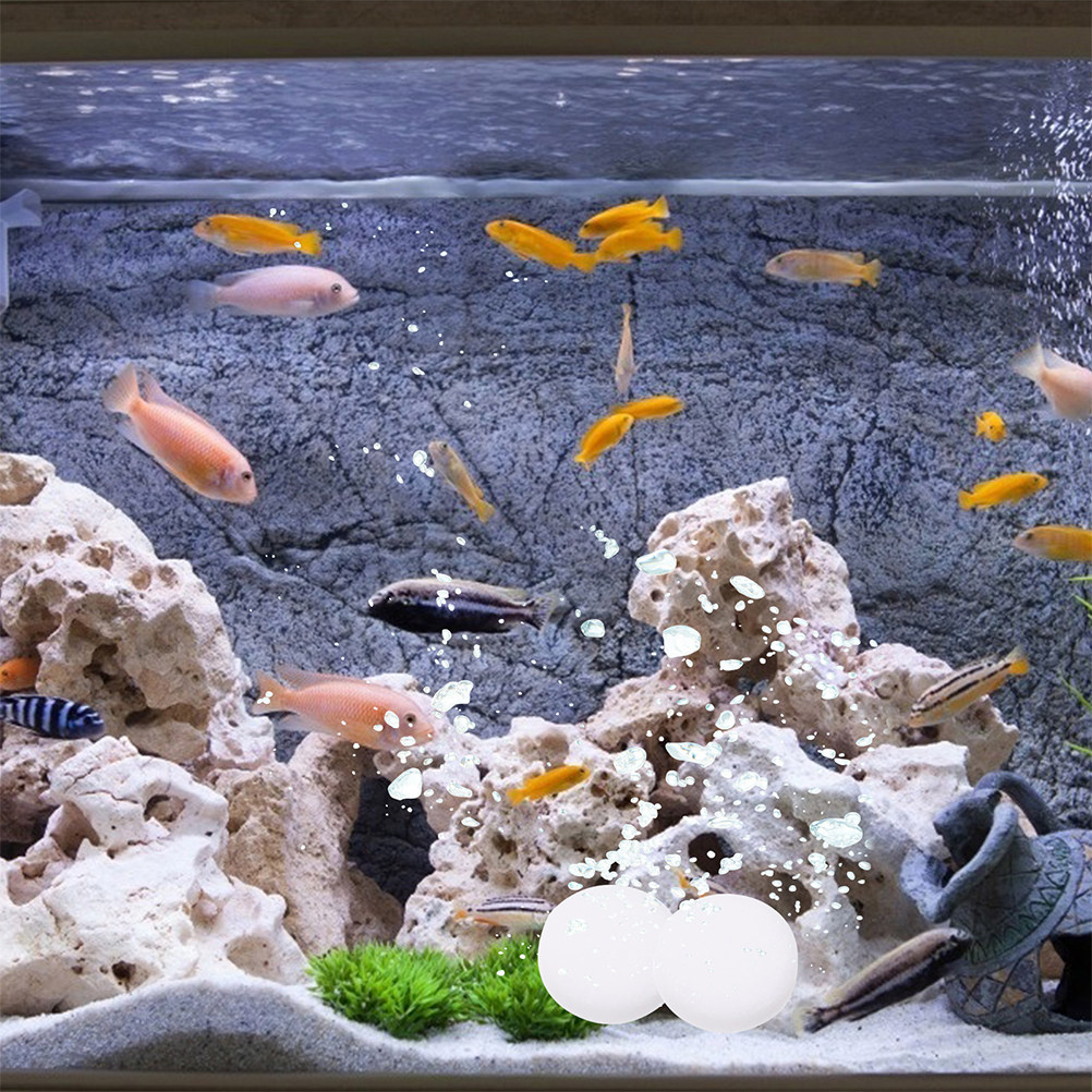 3 zakjes Co2-tabletten Effecti - Aquarium Plant Nutrients recensie en prijs