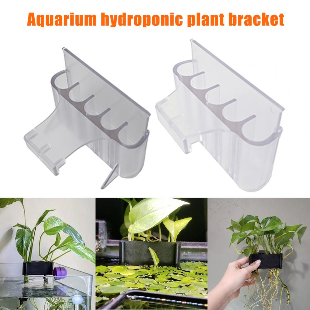 4.5/6.5 Cm Aquarium Plant Houd - Aquarium Plant In Pot recensie en prijs