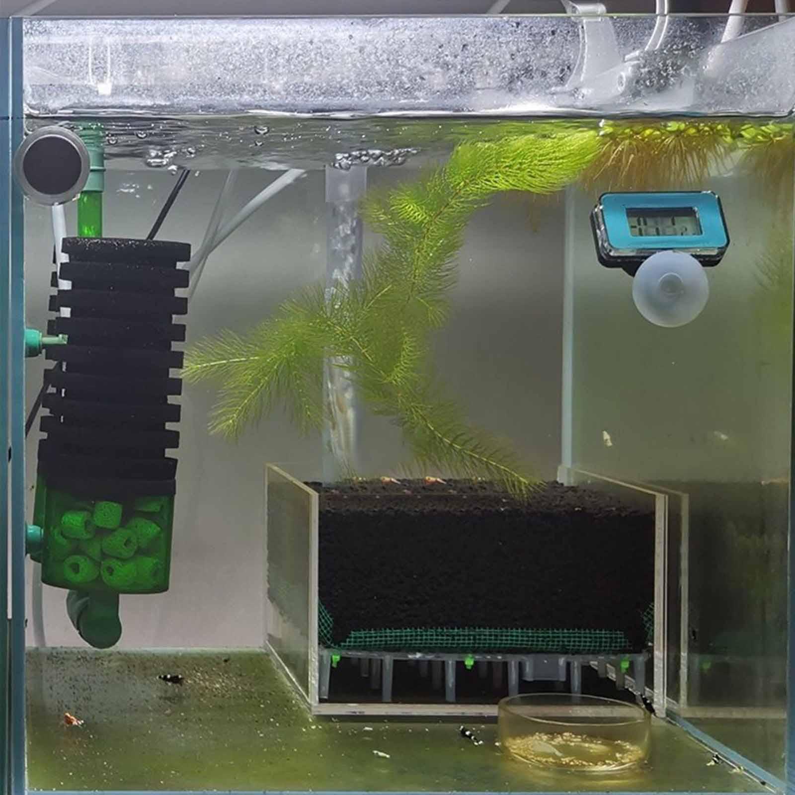 Acryl viskomfilter ondergrond, - Planted Aquarium With Gravel recensie en prijs