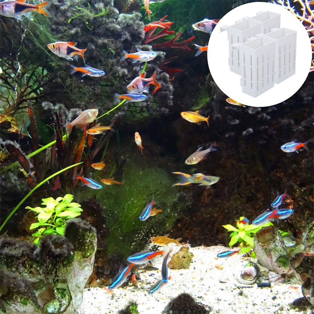 4-delige plastic aquatische pl - Aquarium Plant Nutrients recensie en prijs