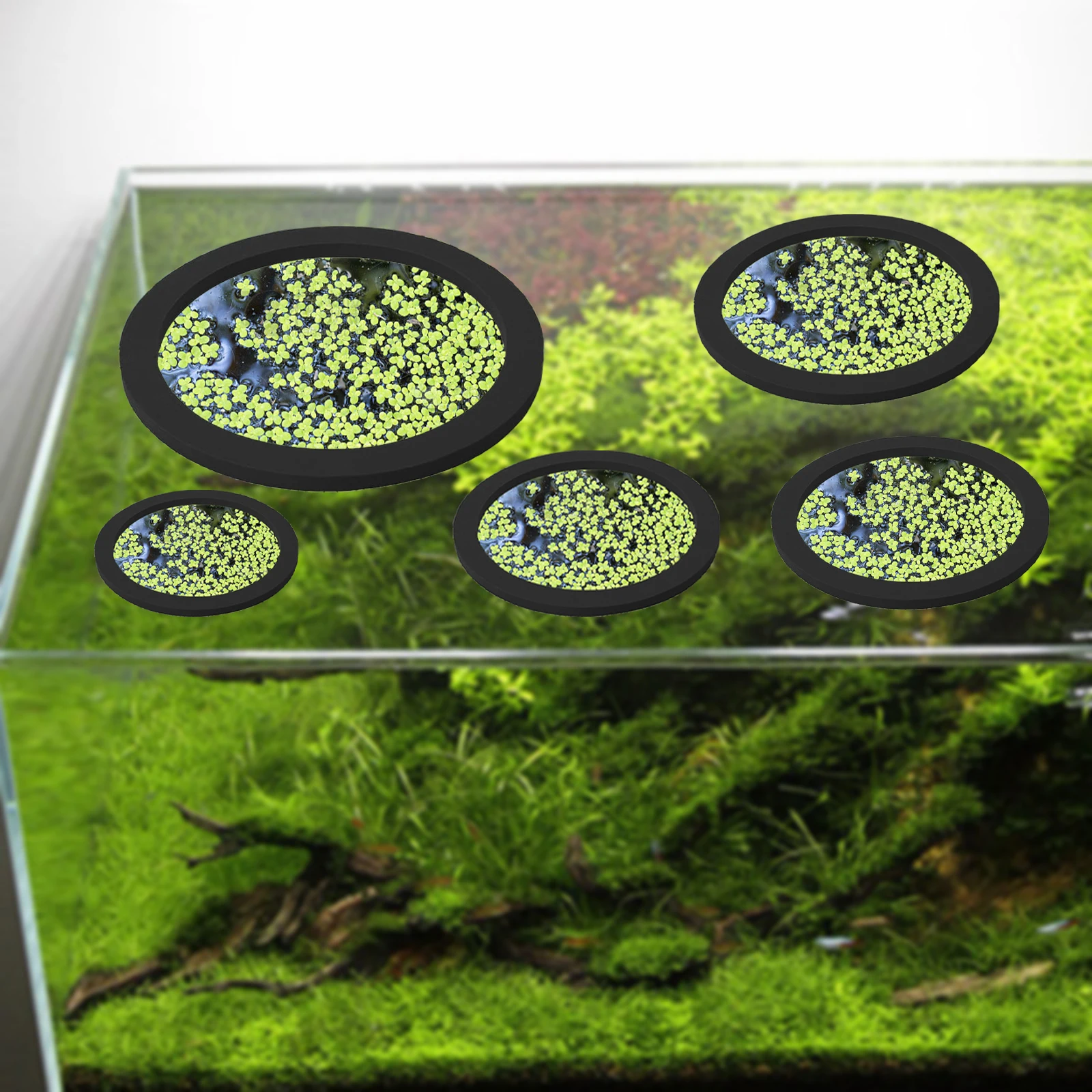 5 stks EVA Vis Voeden Ring Aqu - Aquarium Plants recensie en prijs
