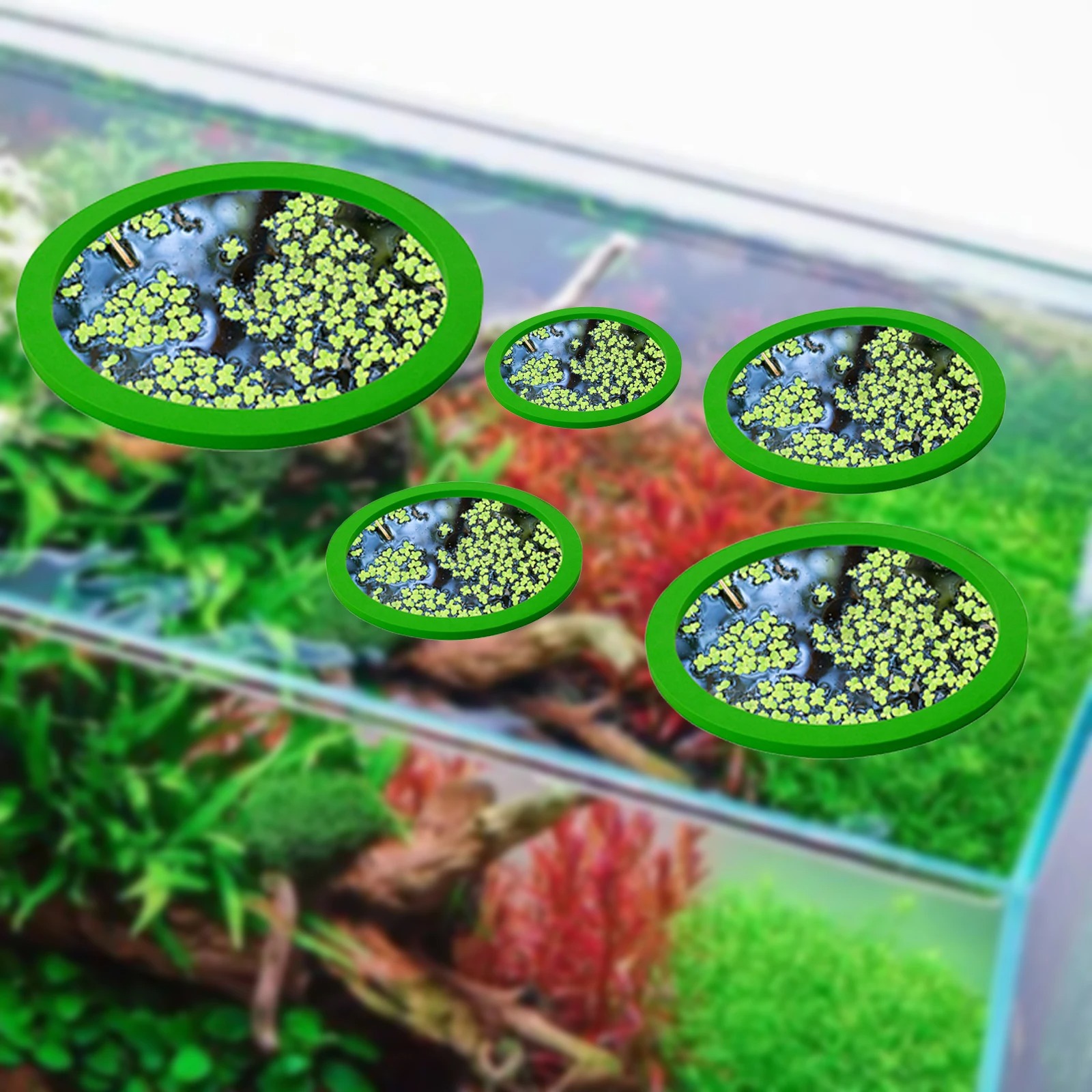 5 stks EVA Vis Voeden Ring Aqu - Aquarium Plants recensie en prijs
