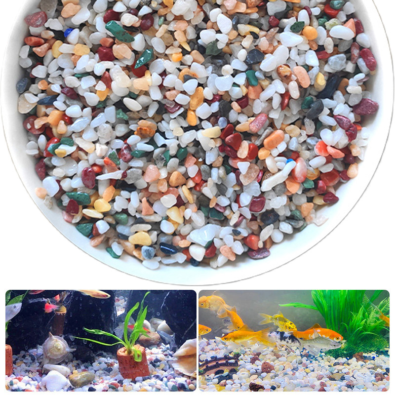 Natuurlijke Grindsteen 200 ~ 1 - Planted Aquarium With Gravel recensie en prijs