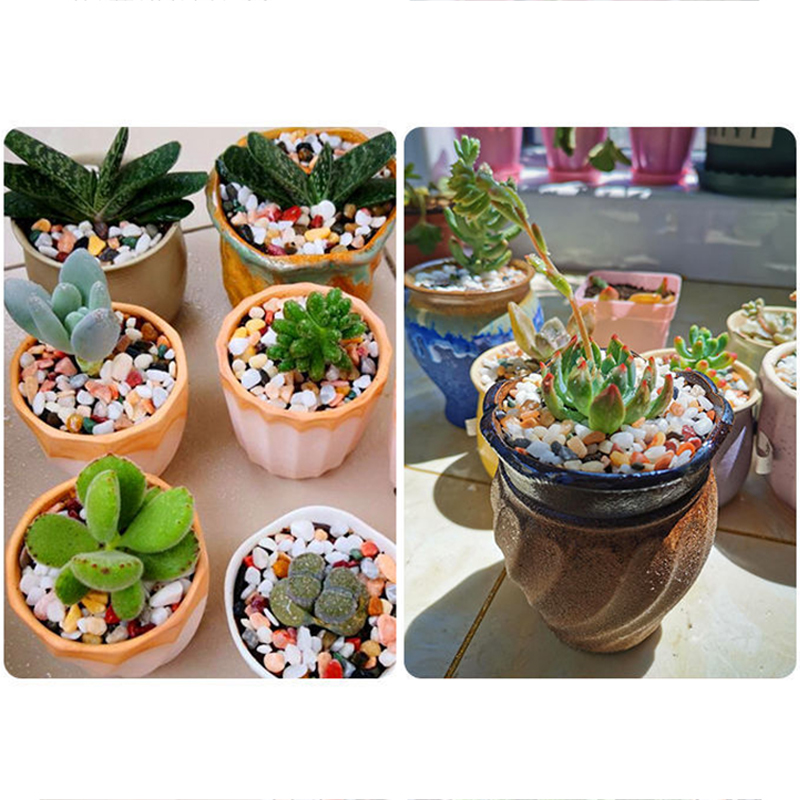 Natuurlijke Grindsteen 200 ~ 1 - Planted Aquarium With Gravel recensie en prijs