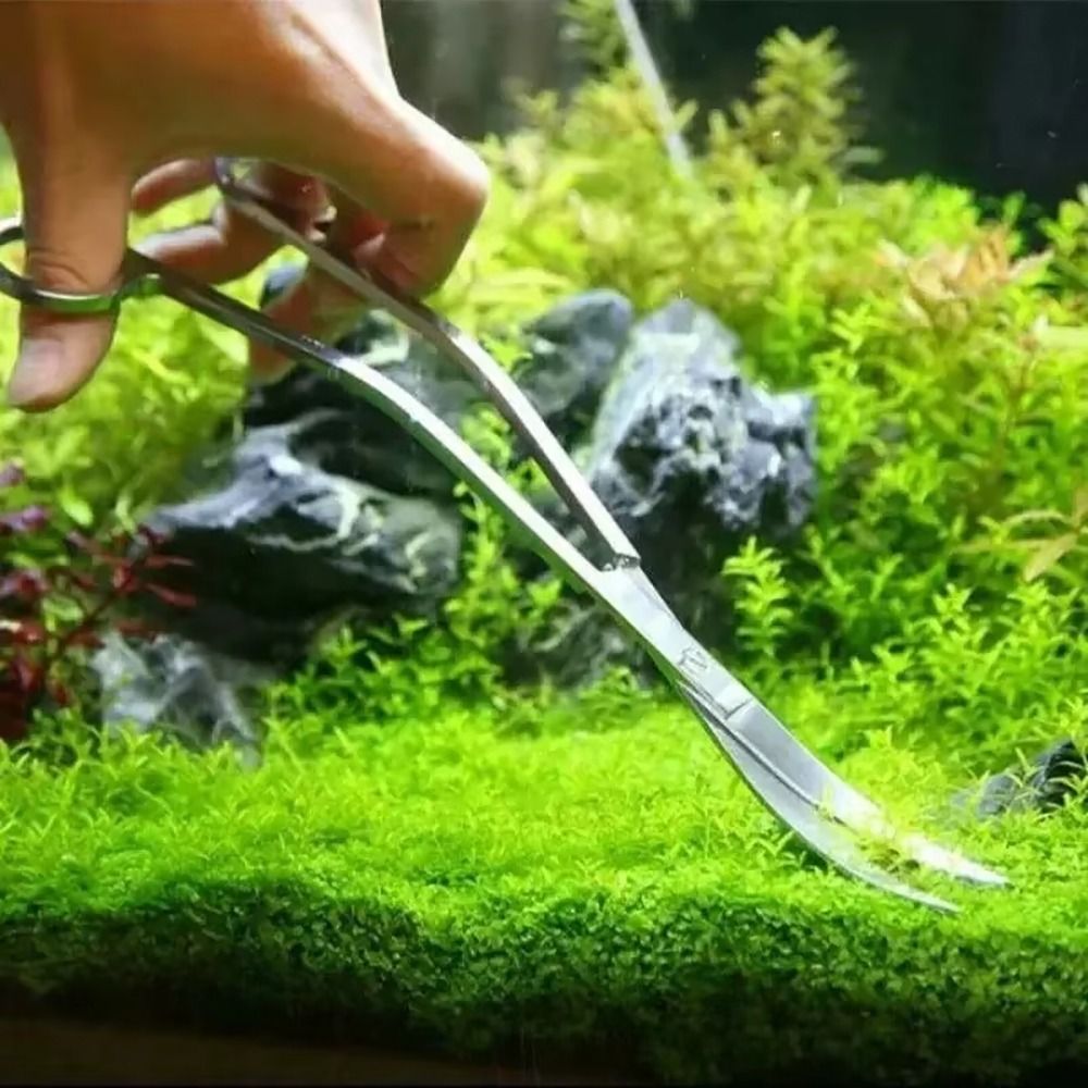 1 Stuks RVS Aquarium Schaar Re - Aquarium Plant Grass recensie en prijs