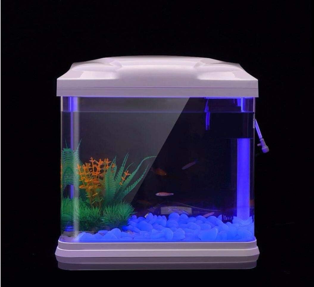 Aquarium Rotsen Glow Blue Kiez - Aquarium Plants recensie en prijs