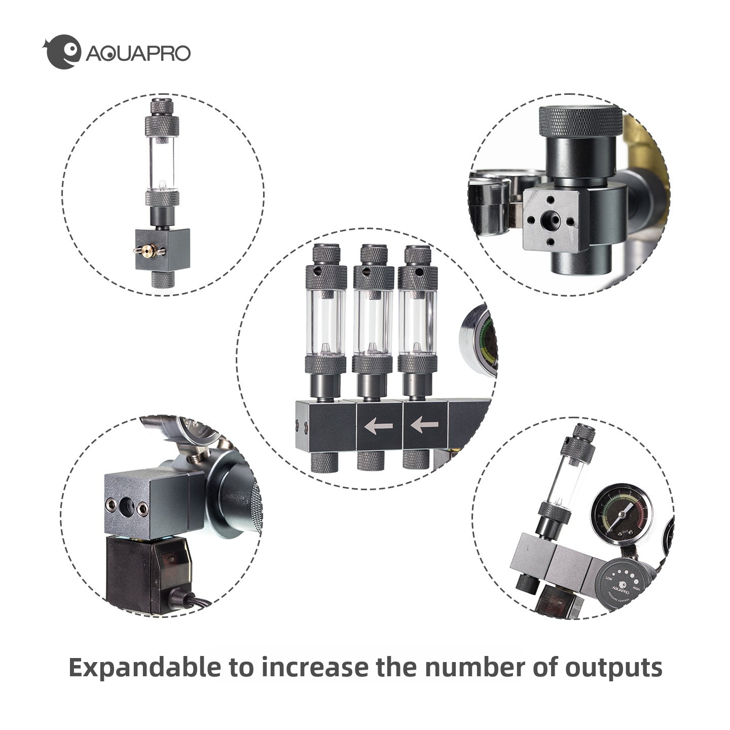 AQUAPRO Professionele tweetrap - Co2 Regulator Dual Stage recensie en prijs