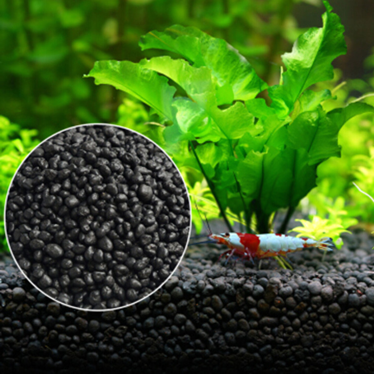 Aquarium Plant Zaden Bodem Fis - Aquarium Plant Grass recensie en prijs