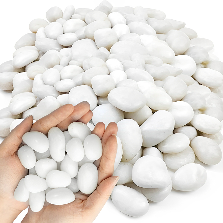 1/2Lb Witte Gepolijste Aquariu - Planted Aquarium With Gravel recensie en prijs