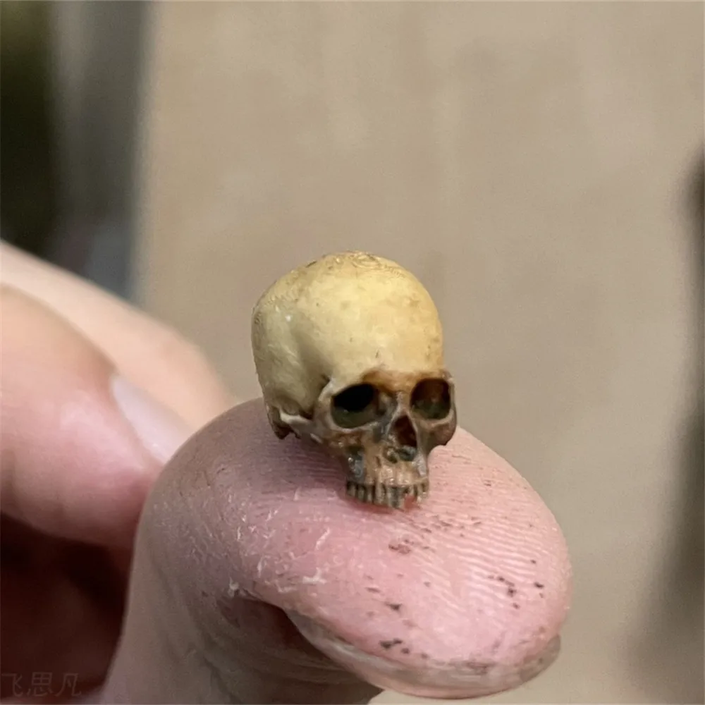 Mini Skull Hoge kwaliteit mini - Aquarium Plant In Pot recensie en prijs