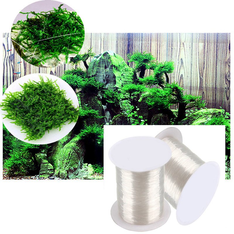 120M DIY Mos Lijn Bindlijn Sup - Aquarium Plant Echinodorus recensie en prijs