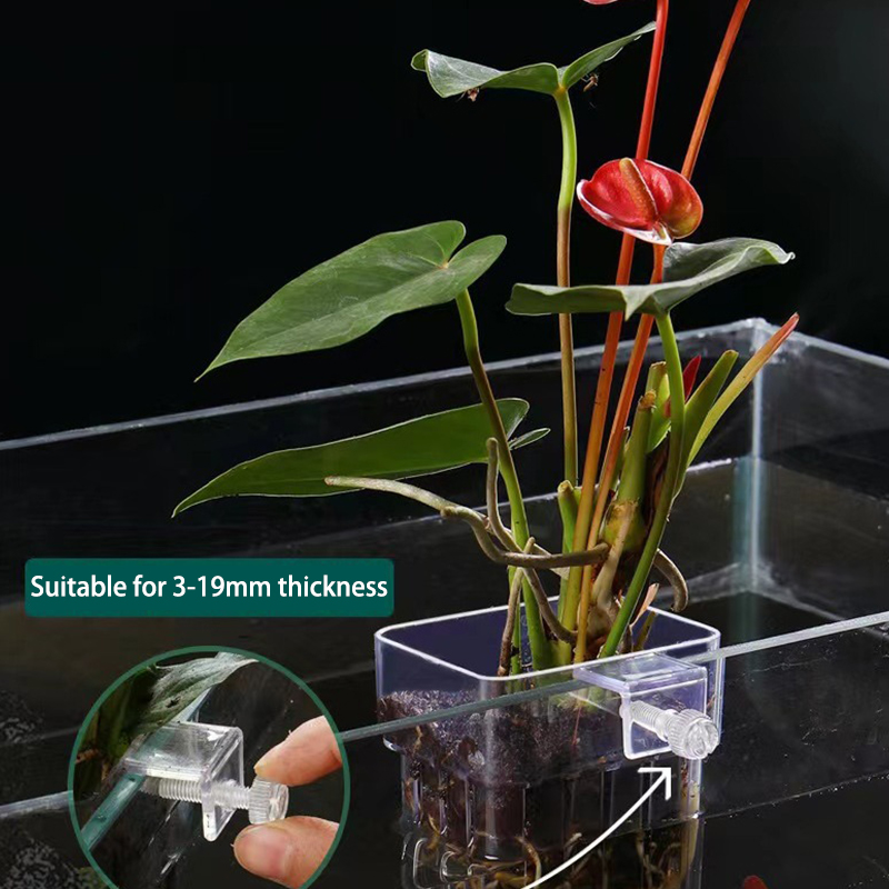 Multifunctionele Vis Aquarium  - Aquarium Plant Grass recensie en prijs