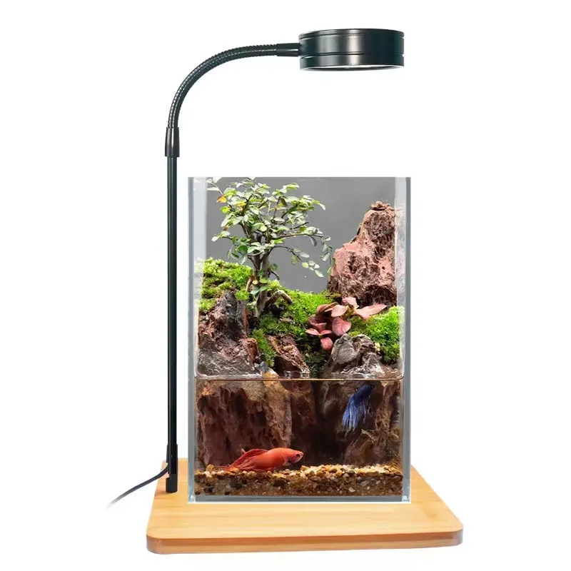 Desktopdecoratie Timer Visbakl - Planted Aquarium Hours recensie en prijs