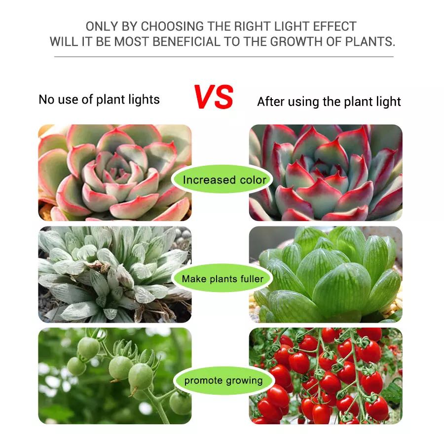 LED Strips 5V USB Phyto Tape I - Planted Aquarium Hours recensie en prijs
