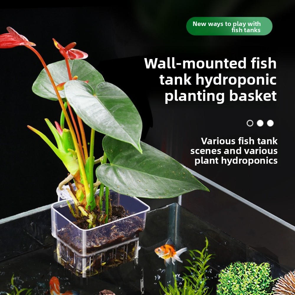 Aquarium Hydroponische Planten - Aquarium Plant Grass recensie en prijs
