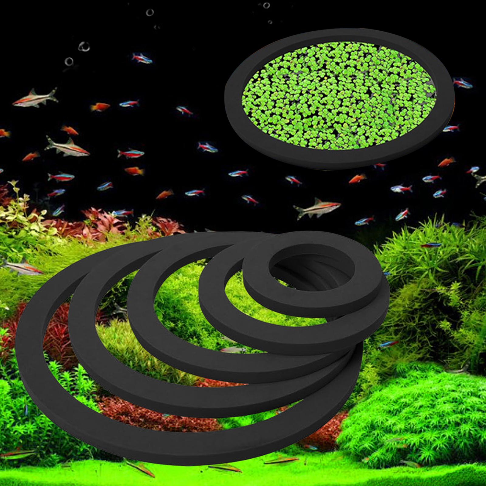 Aquarium drijvende plantenring - Aquarium Plant Nutrients recensie en prijs